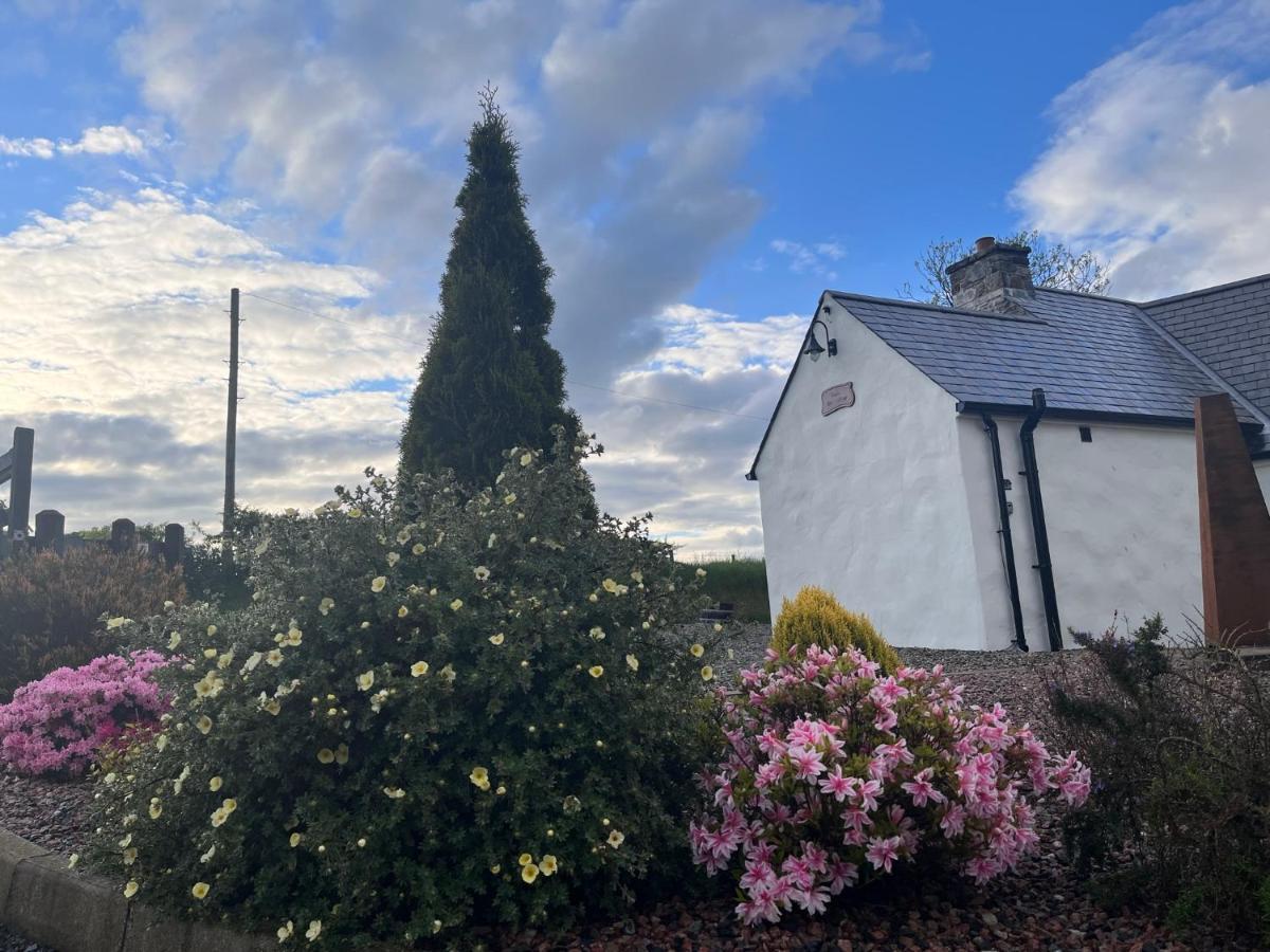 Dans Wee Cottage Slieve Croob Dromara Castlewellan Newcastle Exterior foto